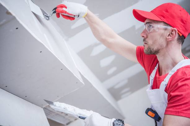 Best Drywall Removal and Disposal  in Fifth Ward, LA